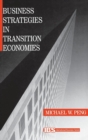 Business Strategies in Transition Economies - Book