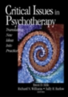 Critical Issues in Psychotherapy : Translating New Ideas into Practice - Book