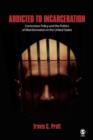 Addicted to Incarceration : Corrections Policy and the Politics of Misinformation in the United States - Book