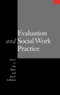 Evaluation and Social Work Practice - Book