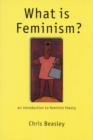 What is Feminism? : An Introduction to Feminist Theory - Book