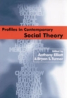 Profiles in Contemporary Social Theory - Book