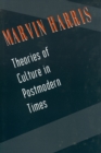 Theories of Culture in Postmodern Times - Book