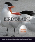 Bird Brains : Inside the Strange Minds of Our Fine Feathered Friends - eBook