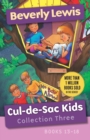 Cul–de–Sac Kids Collection Three – Books 13–18 - Book