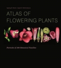 Atlas of Flowering Plants : Visual Studies of 200 Deconstructed Botanical Families - Book