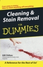 Cleaning and Stain Removal for Dummies - Book
