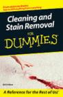 Cleaning and Stain Removal for Dummies - eBook