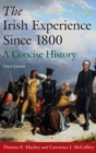 The Irish Experience Since 1800: A Concise History : A Concise History - Book