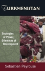 Turkmenistan: Strategies of Power, Dilemmas of Development : Strategies of Power, Dilemmas of Development - Book