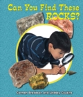 Can You Find These Rocks? - eBook