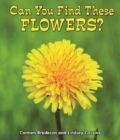 Can You Find These Flowers? - eBook