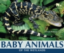 Baby Animals of the Wetlands - eBook