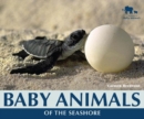 Baby Animals of the Seashore - eBook
