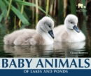 Baby Animals of Lakes and Ponds - eBook