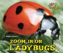 Zoom in on Ladybugs - eBook