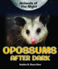 Opossums After Dark - eBook