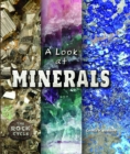 A Look at Minerals - eBook