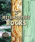 A Look at Metamorphic Rocks - eBook