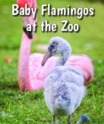 Baby Flamingos at the Zoo - eBook