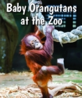 Baby Orangutans at the Zoo - eBook