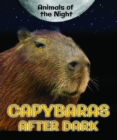 Capybaras After Dark - eBook