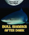 Bull Sharks After Dark - eBook