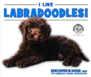 I Like Labradoodles! - eBook