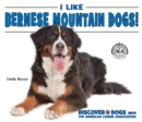 I Like Bernese Mountain Dogs! - eBook