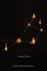 Small Fires : Volume 36 - Book