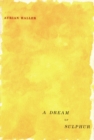 A Dream of Sulphur - eBook
