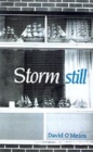 Storm Still - eBook