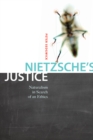 Nietzsche's Justice : Naturalism in Search of an Ethics - eBook