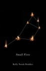Small Fires - eBook