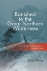 Banished to the Great Northern Wilderness : Political Exile and Re-education in Mao’s China - Book