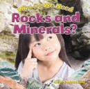 Why Do We Need Rocks and Minerals? - Book