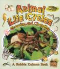 Animal Life Cycles : Growing and Changing - Book