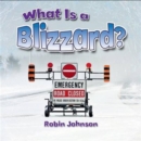 What Is a Blizzard? - Book