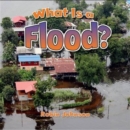 What Is a Flood? - Book