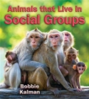Animals that Live in Social Groups - Book