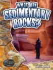 What are Sedimentary Rocks? - Book