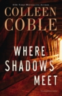 Where Shadows Meet : A Romantic Suspense Novel - eBook