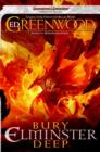 Bury Elminster Deep - eBook