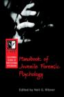California School of Professional Psychology Handbook of Juvenile Forensic Psychology - Book