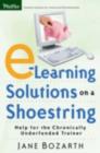E-Learning Solutions on a Shoestring : Help for the Chronically Underfunded Trainer - eBook