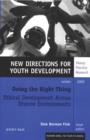 Doing the Right Thing: Ethical Development Across Diverse Environments : New Directions for Youth Development, Number 108 - Book
