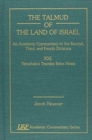 The Talmud of the Land of Israel, An Academic Commentary : XXI. Yerushalmi Tractate Baba Mesia - Book