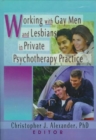 Working with Gay Men and Lesbians in Private Psychotherapy Practice - Book