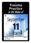 Trauma Practice in the Wake of September 11, 2001 - Book