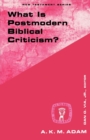 What is Postmodern Biblical Criticism? - Book